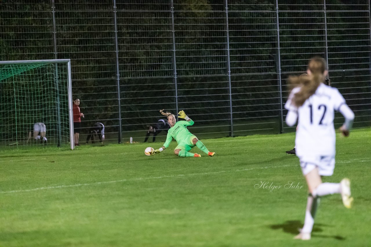 Bild 154 - Frauen SV Henstedt Ulzburg - Wellingsbuettel : Ergebnis: 11:1